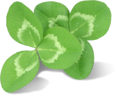 Clover decoration