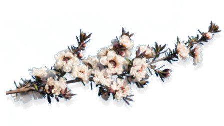 Manuka twig decoration