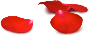 Petals decoration