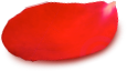 Single petal decoration